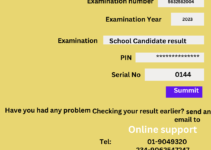 How to check waec result Using Your Phone 2023