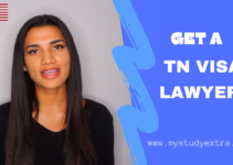 How To Get A Tn visa lawyer – Easy Process