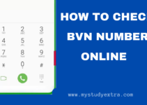 How To Check BVN Details Online 2024