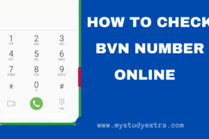 How To Check BVN Details Online 2024